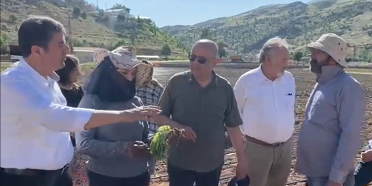 Adıyamanlı tütün üreticisi: Amerikan şirketlerine peşkeş çekiliyor çiftçi Adıyamanlı tütün üreticisi: Amerikan şirketlerine peşkeş çekiliyor çiftçi