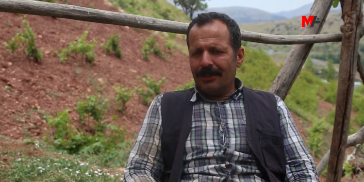 Amerika’dan gelen değil Adıyaman’ın tütünü kaçak Amerika’dan gelen değil Adıyaman’ın tütünü kaçak