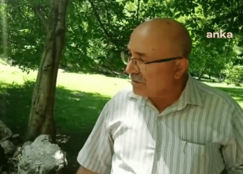 Artvin’de HES için kesilen ceviz ağaçları, kesildikten sonra damgalandı