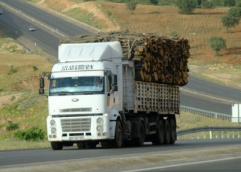 Bir günde bin 500 ton ağaç kıyımı