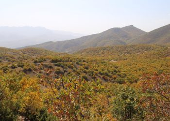 DER-KAP Projesine karşı açılan dava reddedildi
