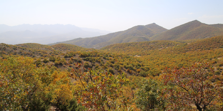 DER-KAP Projesine karşı açılan dava reddedildi DER-KAP Projesine karşı açılan dava reddedildi