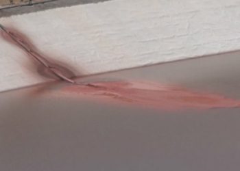 Erzincan’ın İliç ilçesindeki altın madeninin faaliyetleri durduruldu