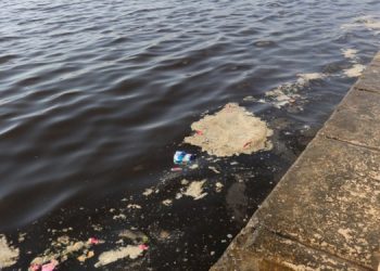 İzmir Körfezi tehlikede