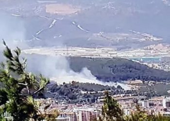 İzmir’in iki ilçesinde yangın