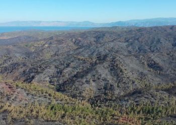 Marmaris’te 4 bin 500 hektarlık orman yandı