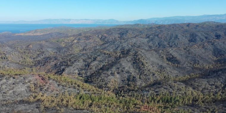 Marmaris’te 4 bin 500 hektarlık orman yandı Marmaris’te 4 bin 500 hektarlık orman yandı