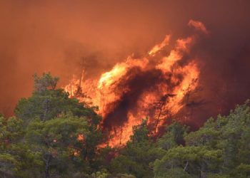 Marmaris’teki yangın sürüyor