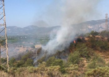 Muğla’da orman yangınları