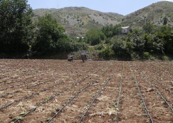 Tütüncü kadınların yasaya karşı yaşam mücadelesi