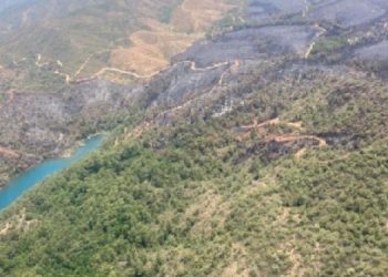 “Yanan alanlar yine hangi çevreler için heba ediliyor?”