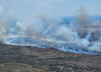 Datça Belediyesi’nden “orman yangını” açıklaması: Söndürüldü haberini vermek için fedakarca mücadele ediyoruz