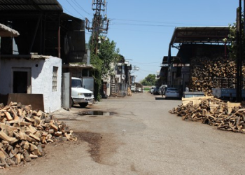 Şırnak’ta ağaç kıyımı: Urfa’ya günde 600 ton odun getiriliyor