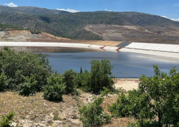 Siyanüre lale kılıfı: Toplum sağlığı açısından facia barındırıyor