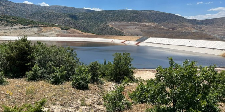 Siyanüre lale kılıfı: Toplum sağlığı açısından facia barındırıyor Siyanüre lale kılıfı: Toplum sağlığı açısından facia barındırıyor