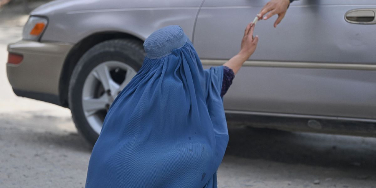 Afganistan’da Taliban ile geçen bir yıl: Birlikte mücadele kurmak istiyoruz Afganistan’da Taliban ile geçen bir yıl: Birlikte mücadele kurmak istiyoruz