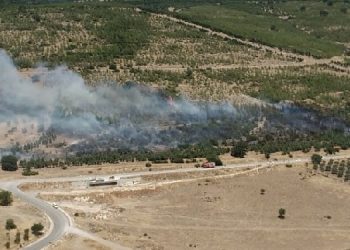 Aliağa’da ağaçlandırma sahasında yangın