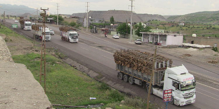 Avukat Tay: Şırnak’ta doğa katliamı yaşanıyor Avukat Tay: Şırnak’ta doğa katliamı yaşanıyor