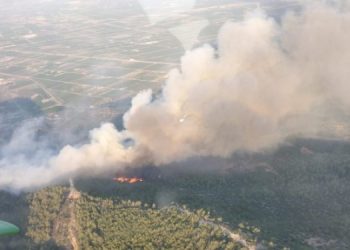 Aydın’da orman yangını