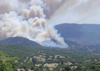 Balıkesir’de ormanlık alanda çıkan yangın kontrol altına alındı