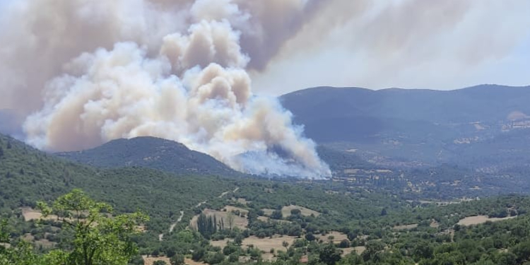 Balıkesir’de orman yangını Balıkesir’de orman yangını