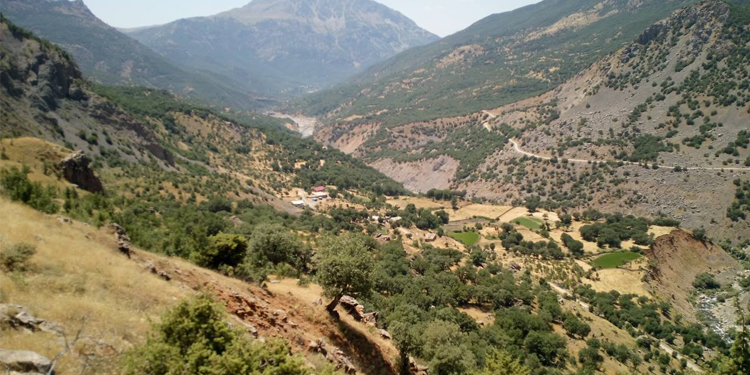 Bitlis’te 3 köy ve mezralarında sokağa çıkma yasağı ilan edildi Bitlis’te 3 köy ve mezralarında sokağa çıkma yasağı ilan edildi