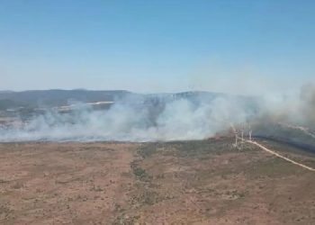 Çeşme’de orman yangını