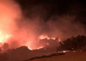 Çeşme’deki yangın kontrol altına alındı