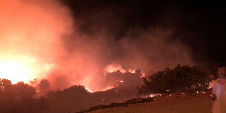 Çeşme’deki yangın kontrol altına alındı Çeşme’deki yangın kontrol altına alındı
