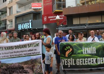 Dersim ve Şırnak’taki ağaç kesimlerine tepki