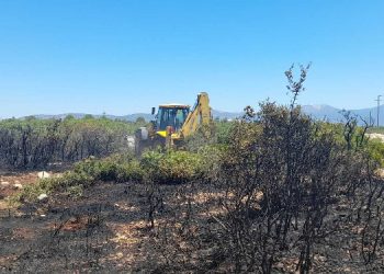 Didim’de başlayan orman yangını söndürüldü