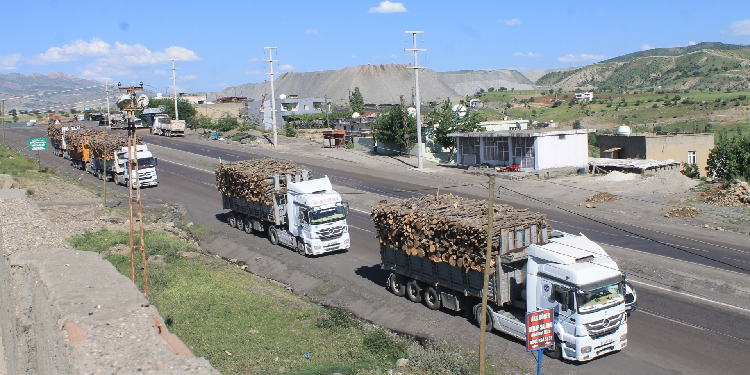 Doğa katliamında bölgeler arası ayırım neden yapıyorlar? Doğa katliamında bölgeler arası ayırım neden yapıyorlar?