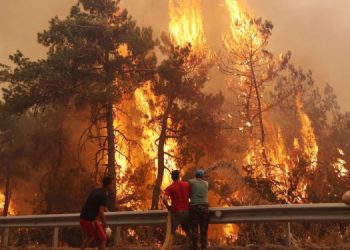 Ege’de her yangın sonrası rant endişesi büyüyor