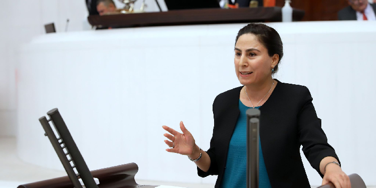 HDP’li Ayşe Sürücü: Ağaçlar nasıl bir güvenlik sorunu oluşturuyor? HDP’li Ayşe Sürücü: Ağaçlar nasıl bir güvenlik sorunu oluşturuyor?