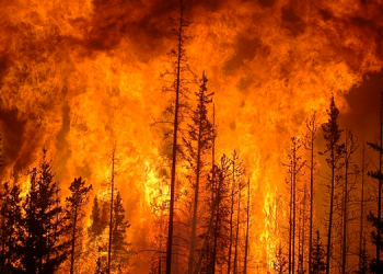 İzmir Valiliği’nden orman yangını uyarısı: Önümüzdeki 3 gün tehlikeli