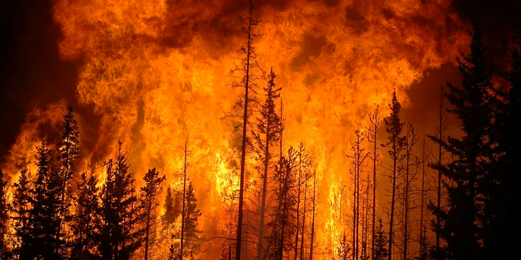 İzmir Valiliği’nden orman yangını uyarısı: Önümüzdeki 3 gün tehlikeli İzmir Valiliği’nden orman yangını uyarısı: Önümüzdeki 3 gün tehlikeli