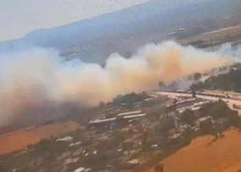 İzmir’de orman yangını