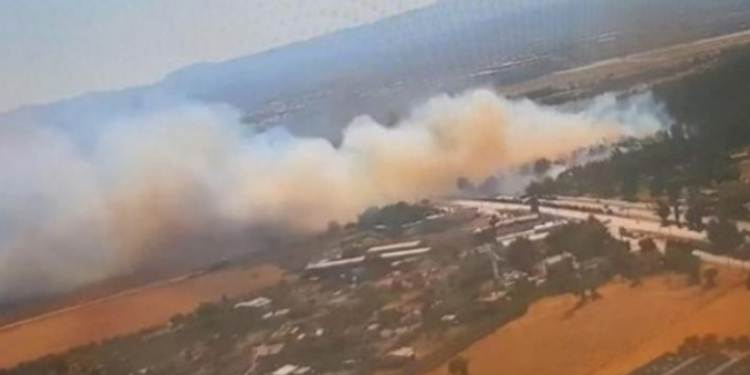 İzmir’de orman yangını İzmir’de orman yangını