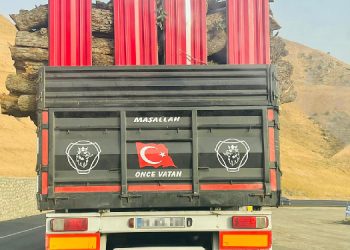 Kesilen ağaçlar “Önce vatan” yazılı TIR’larla taşınıyor