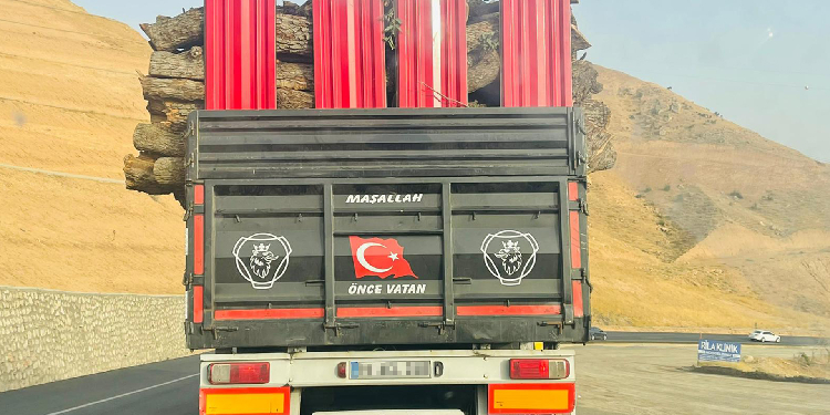 Kesilen ağaçlar “Önce vatan” yazılı TIR’larla taşınıyor Kesilen ağaçlar “Önce vatan” yazılı TIR’larla taşınıyor