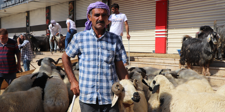 Kriz kurbanlık satışını vurdu Kriz kurbanlık satışını vurdu