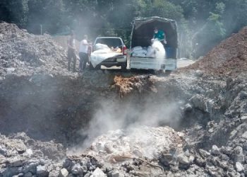 “Kuyular kazılarak gömülüyor. Bu, çevre katliamı”