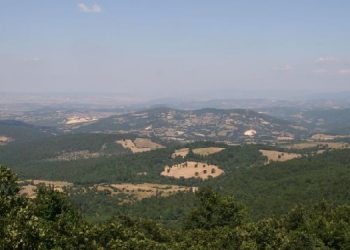 Mahkeme Kaz Dağı’nda “ÇED olumlu” kararını durdurdu