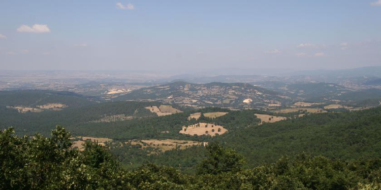 Mahkeme Kaz Dağı’nda “ÇED olumlu” kararını durdurdu Mahkeme Kaz Dağı’nda “ÇED olumlu” kararını durdurdu