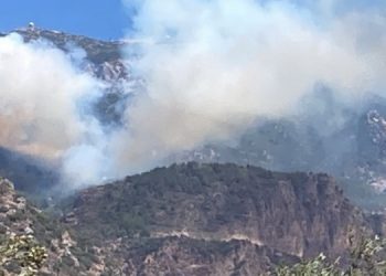 Muğla ve İzmir’de orman yangınları: Evler boşaltıldı, yollar kapandı