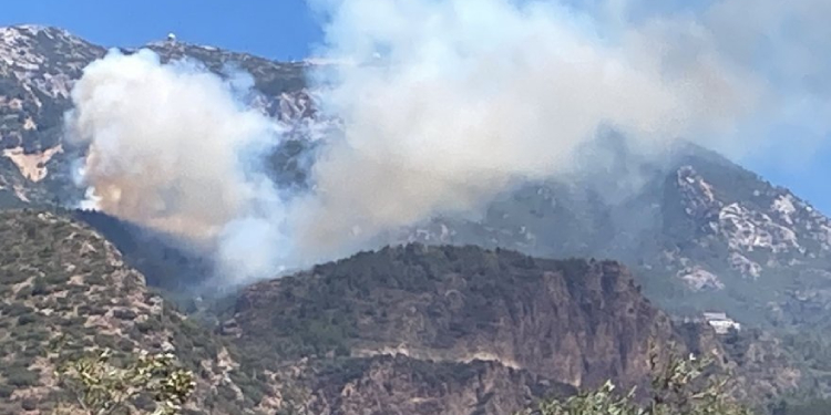 Muğla ve İzmir’de orman yangınları: Evler boşaltıldı, yollar kapandı Muğla ve İzmir’de orman yangınları: Evler boşaltıldı, yollar kapandı