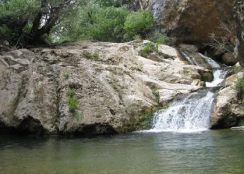 “Nurhak’ı maden ocakları ve HES’lere teslim etmeyeceğiz”