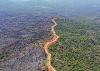 Aydın’da ormanlara girişler yasaklandı