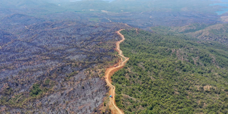 Aydın’da ormanlara girişler yasaklandı Aydın’da ormanlara girişler yasaklandı