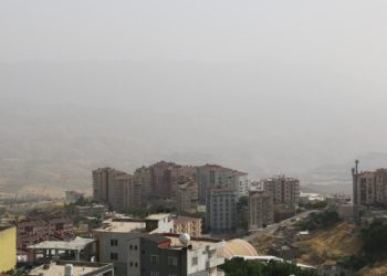 Özbey: Doğaya saldırılarla toplumsal var oluş hedeflendi